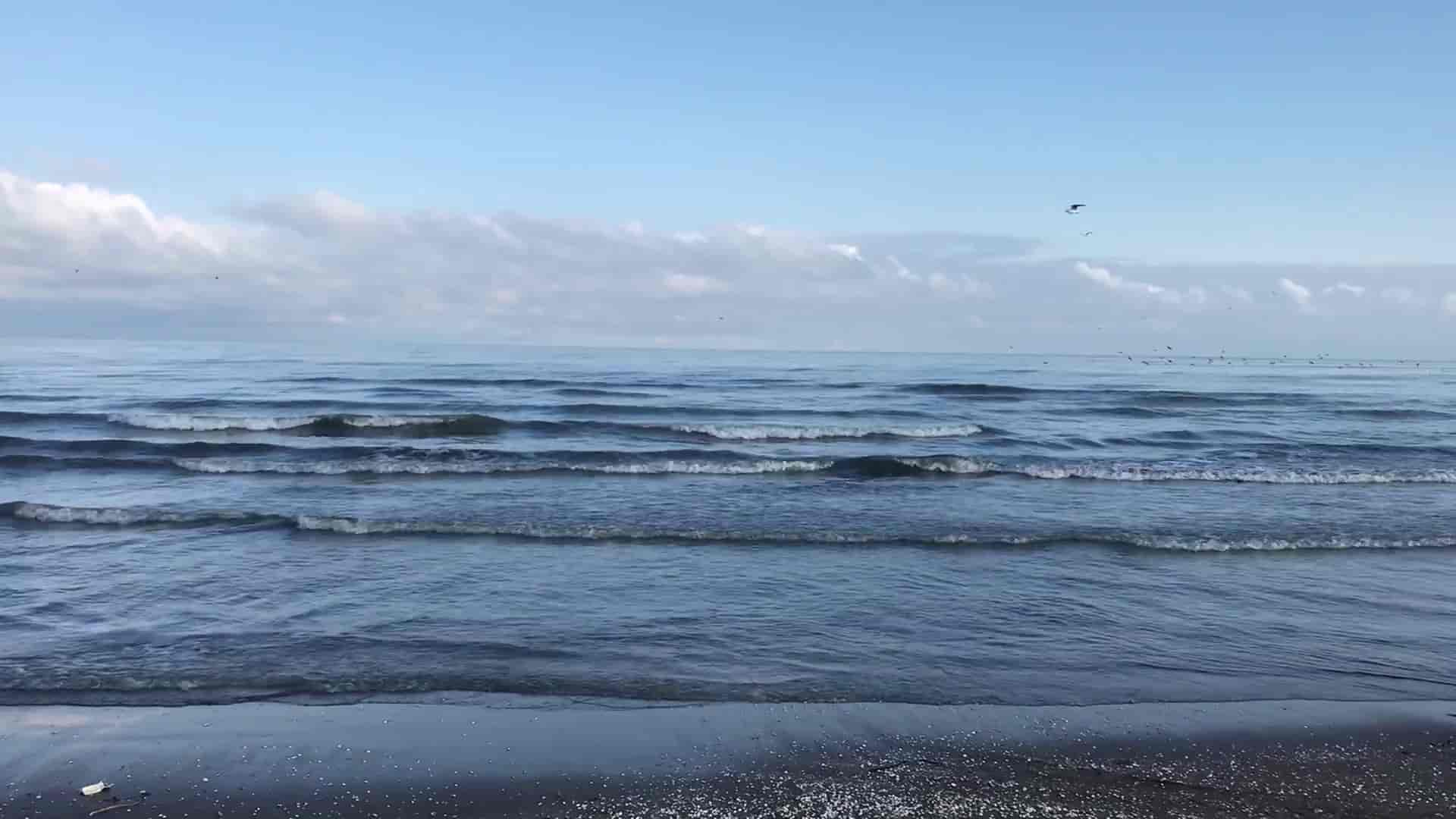 ساحل دریای خزر